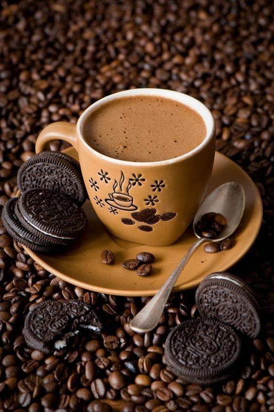 Velvet Serenade Smooth Roast Delight