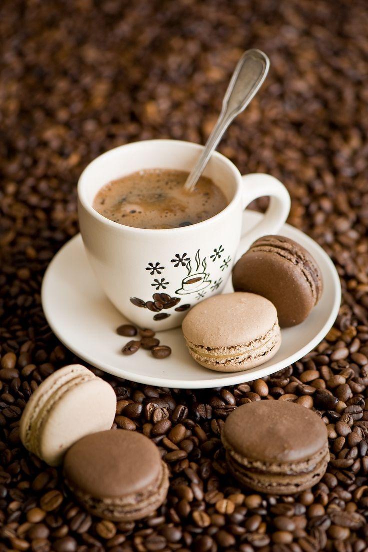 Echoes of the Ancient Espresso Quest